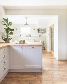 a kitchen with wooden floors and white walls, an island in the middle has potted plants on it