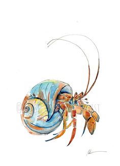 a watercolor drawing of a blue and orange crab with long legs, on a white background