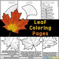 leaf coloring pages for fall and autumn