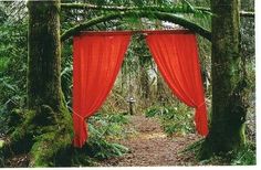 a red canopy in the middle of a forest