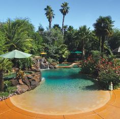 an outdoor pool surrounded by palm trees and water features a waterfall that flows into the pool