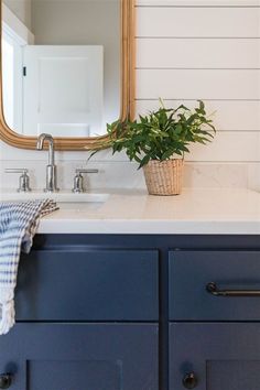 a bathroom sink with a potted plant sitting on it's counter next to a mirror