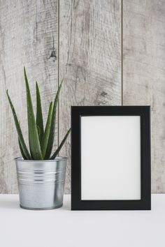 a potted plant next to a black frame on a table