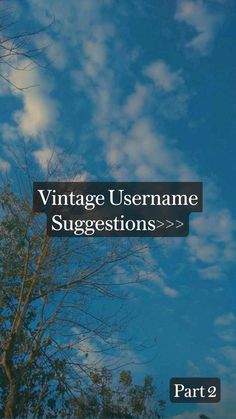 an image of the sky with clouds and trees in it, as well as text that reads vintage username suggestions part 2