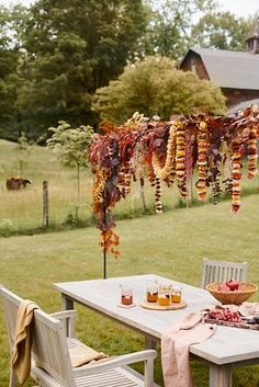 an outdoor table and chairs with food on it in the grass next to a barn