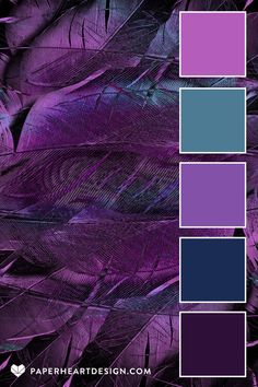 purple and blue color scheme with feathers