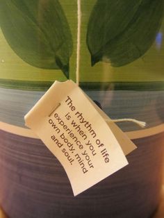 a plant with a note attached to it