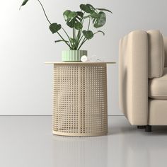 a white couch sitting next to a table with a potted plant on it