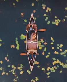 two people in a canoe floating on top of water with lily pads and green leaves