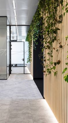 an office hallway with plants growing on the wall and glass doors leading to another room