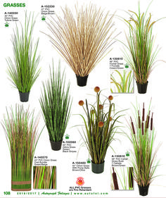 the different types of grass in pots are shown with instructions for each plant to grow