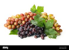 grapes and leaves on a white background - stock image