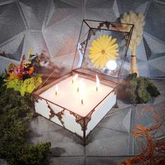 a lit candle sits in a glass box surrounded by plants and other things on the ground