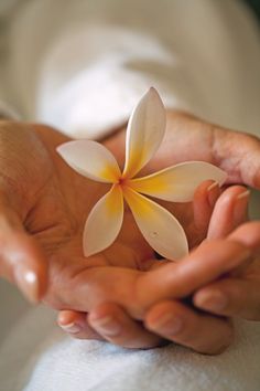 Lomi Lomi, Massage Pictures, Massage Place, Belmond Hotels, Oil Remedies, Riviera Maya Mexico, Getting A Massage, Self Massage, Story Board