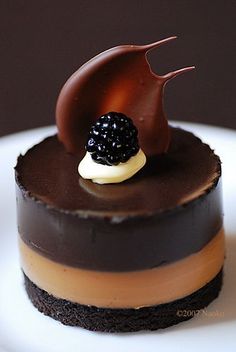 there is a chocolate dessert with blackberries on top