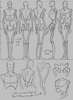 some sketches of different female bodies and torsos, from the back to the front