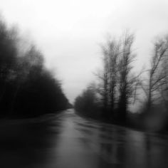 black and white photo of wet road with trees