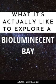 the words, what it's actually like to explore a bioluminecent bay