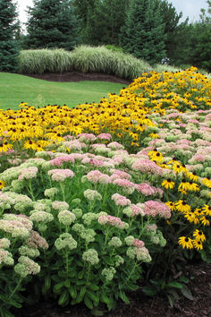 many different types of flowers in a garden