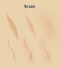 an image of the cover of scars, which is written in black and white on a beige background