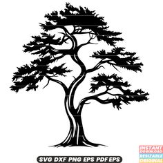 the silhouette of a large tree with many branches and leaves on it, which is outlined in