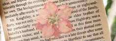 an open book with a pink flower on it