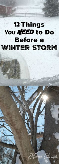 a tree with snow on it and the words, 12 things you need to do before a winter storm