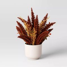 a potted plant with brown leaves in it