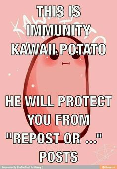 a pink poster with the words, this is community kawaii potato he will protect you from repostor posts