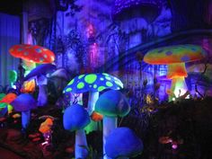 many colorful mushrooms are lit up in the dark