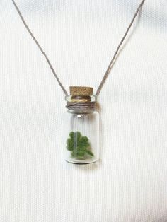 a glass jar filled with green plants on top of a white surface