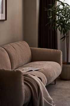 a living room with a couch and a potted plant