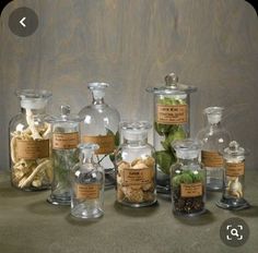 an assortment of glass bottles filled with different types of herbs and spices on a table