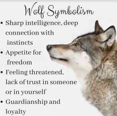 a wolf with its head turned to the side and words below it that say wolf symbolism