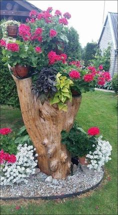 a tree stump with flowers growing out of it