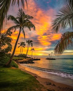 palm trees line the beach as the sun sets over the ocean in this tropical scene