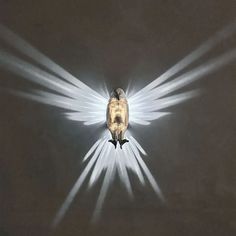 a bird flying through the air with white light coming from it's wings