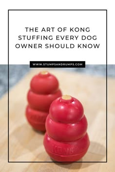 the art of kong stuff stuffing every dog owner should know by following this guide, you'll learn how to use it