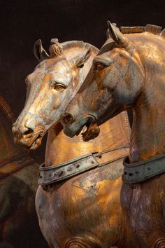 two bronze horses standing next to each other in front of a black background with gold paint