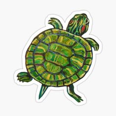 a drawing of a green turtle on a white background