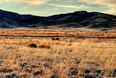 an open field with mountains in the background