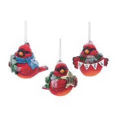 three red birds hanging from strings with snow on the top and one bird wearing a scarf