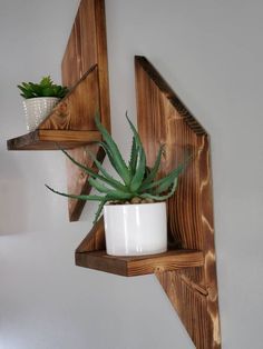 two wooden shelves with plants on them and one shelf holding a potted succulent