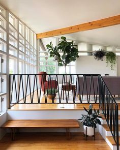 a living room filled with lots of furniture and a plant on top of a wooden floor