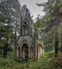 an old church in the middle of a forest