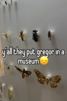 the words y'all they put groor in a museum on a wall