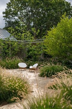 two white chairs sitting on top of a stone walkway next to tall grass and trees