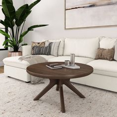 a living room filled with furniture and a plant