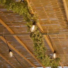 the lights are hanging from the ceiling in the room that is decorated with vines and leaves