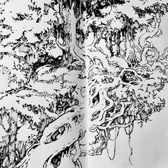 an ink drawing of a tree with lots of branches and leaves on it's trunk